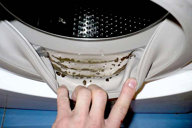 En las gomas de la lavadora, en el cajetín y en los circuitos internos del agua se acumulan bacterias, hongos y otros elementos peligrosos